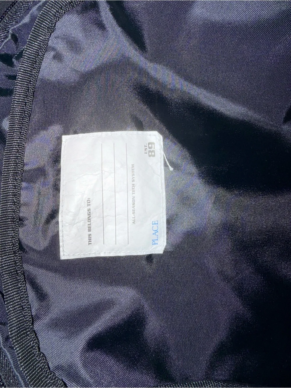 The Children placed Boys Multicolor Backpacks for kids